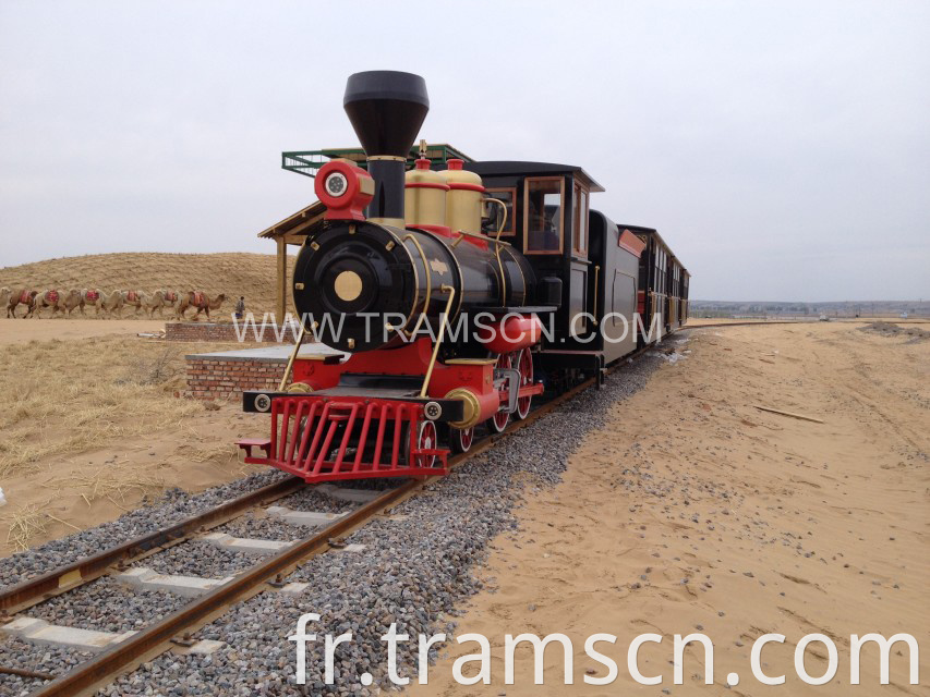 sightseeing train in desert